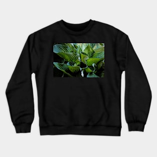 Green Waves Crewneck Sweatshirt